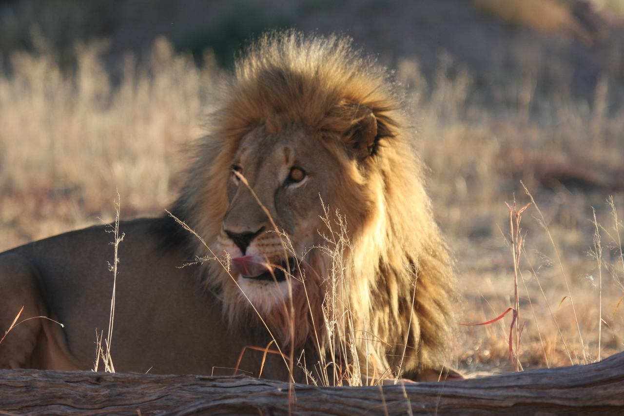 [8091] 2016_06_23_11_51_09_Africa_Canon_EOS_40D_IMG__09084.jpg