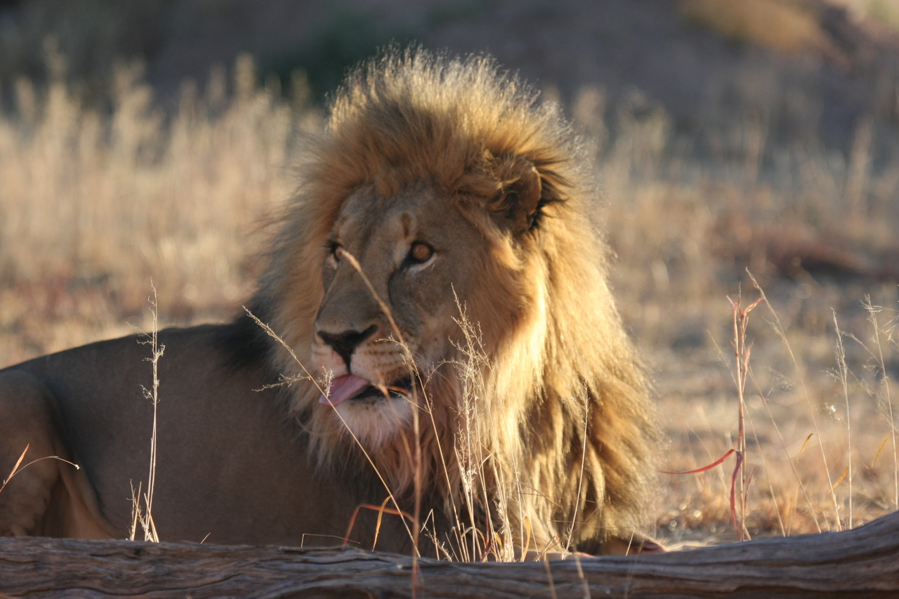 [8095] 2016_06_23_11_51_11_Africa_Canon_EOS_40D_IMG__00805.jpg