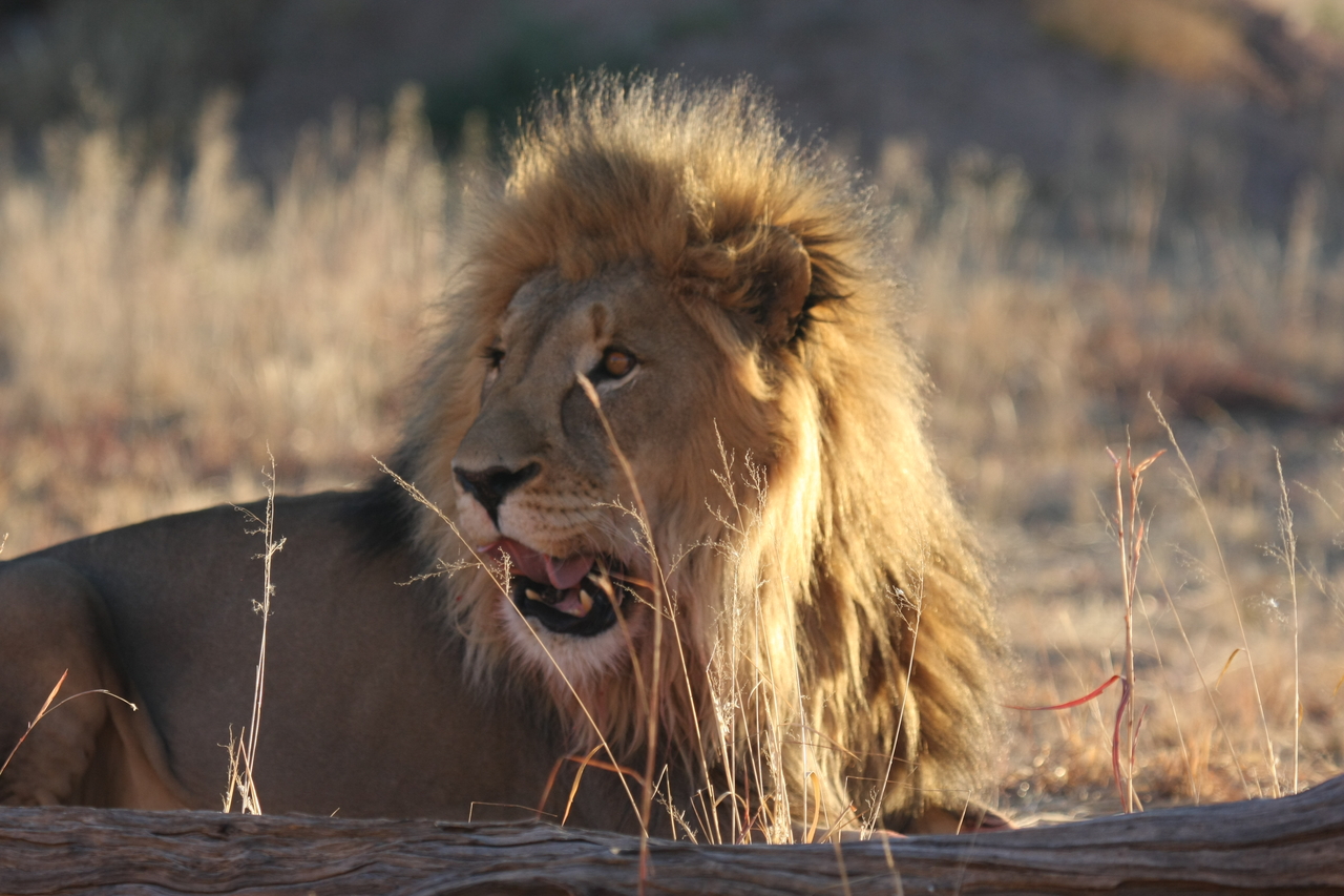 [8098] 2016_06_23_11_51_11_Africa_Canon_EOS_40D_IMG__01640.jpg