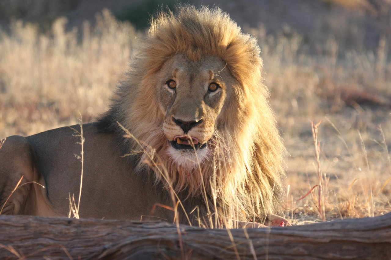 [8110] 2016_06_23_11_51_41_Africa_Canon_EOS_40D_IMG__00811.jpg