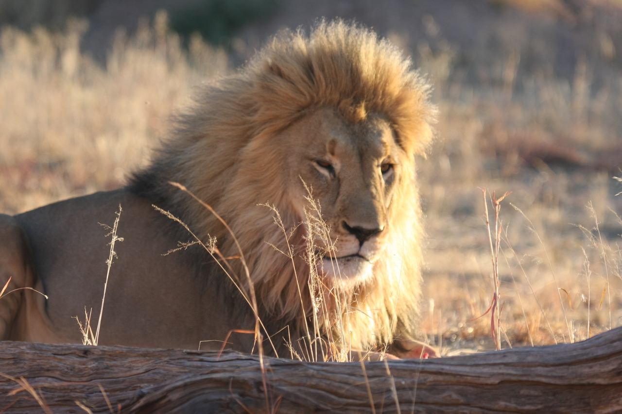 [8121] 2016_06_23_11_51_42_Africa_Canon_EOS_40D_IMG__01649.jpg