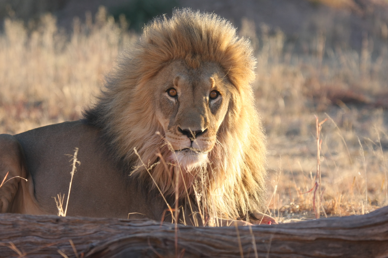 [8122] 2016_06_23_11_51_42_Africa_Canon_EOS_40D_IMG__09094.jpg