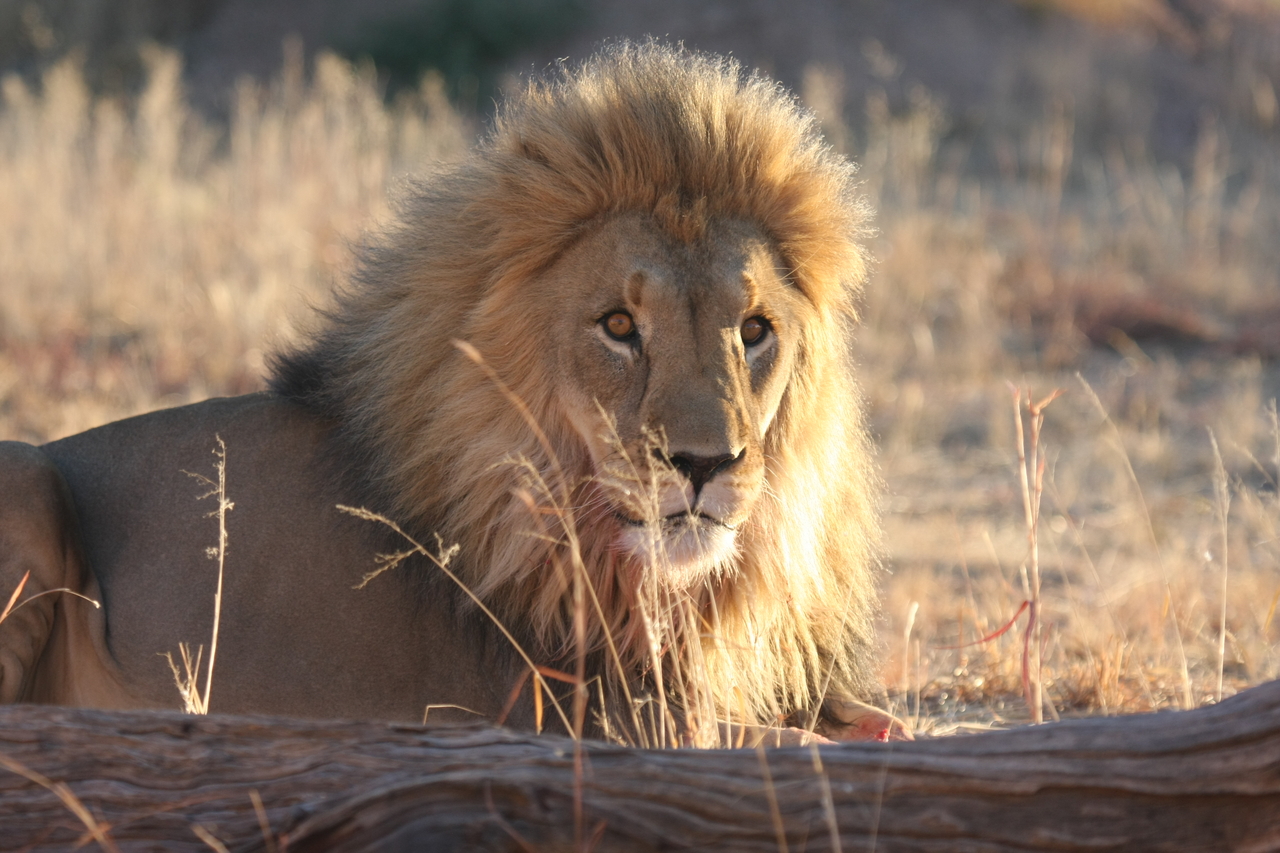 [8123] 2016_06_23_11_51_42_Africa_Canon_EOS_40D_IMG__09095.jpg