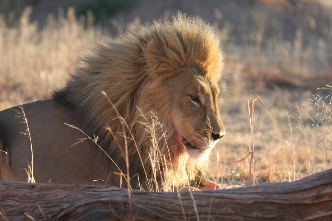 [8125] 2016_06_23_11_51_43_Africa_Canon_EOS_40D_IMG__00816.jpg