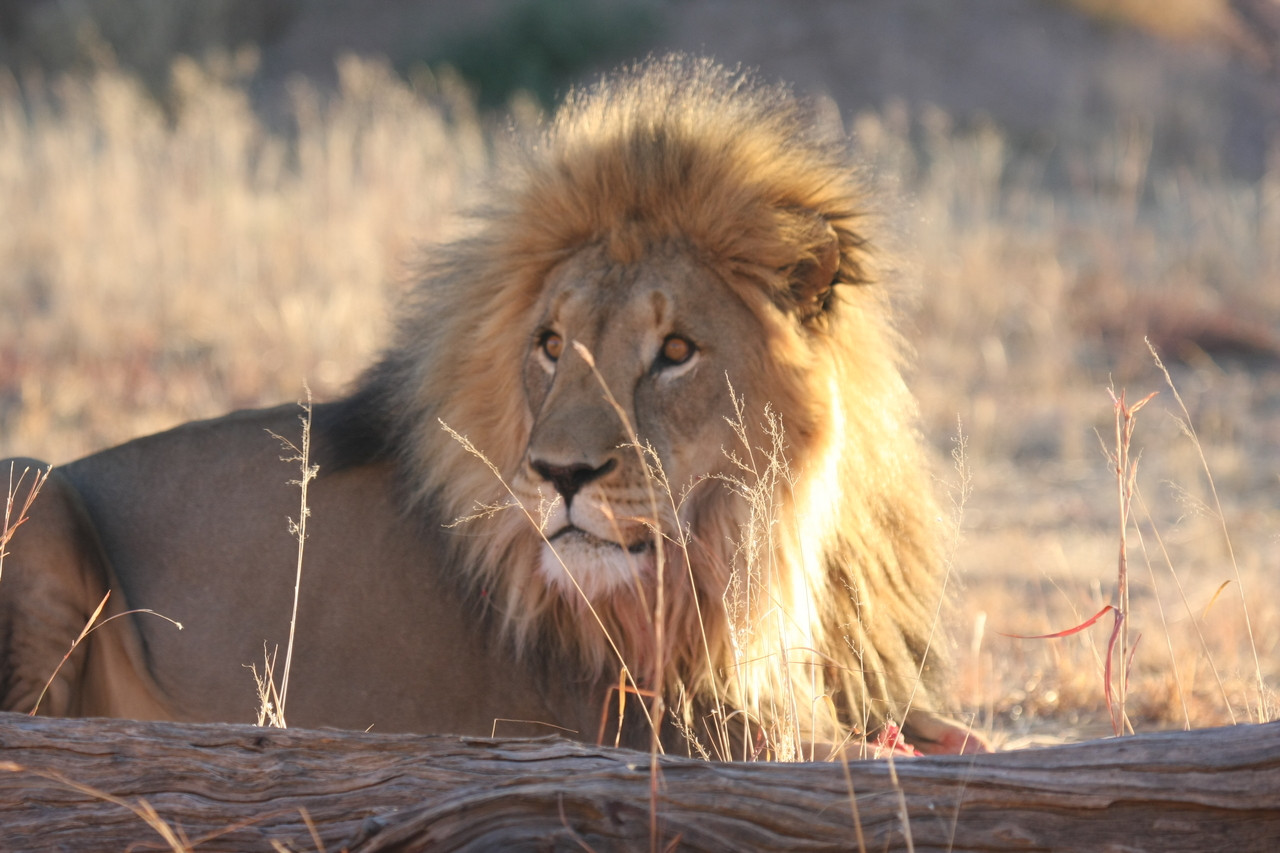 [8129] 2016_06_23_11_51_54_Africa_Canon_EOS_40D_IMG__00818.jpg