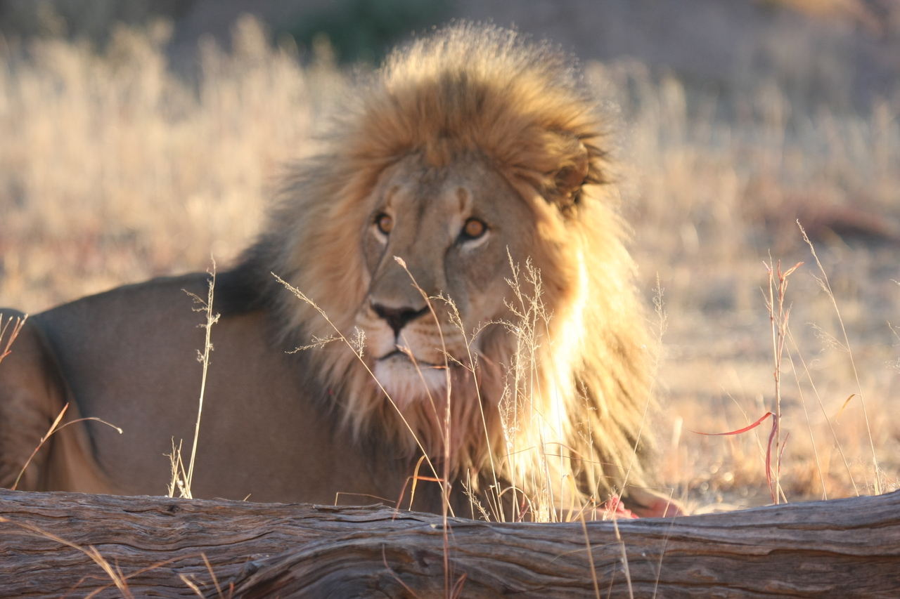 [8131] 2016_06_23_11_51_54_Africa_Canon_EOS_40D_IMG__01651.jpg