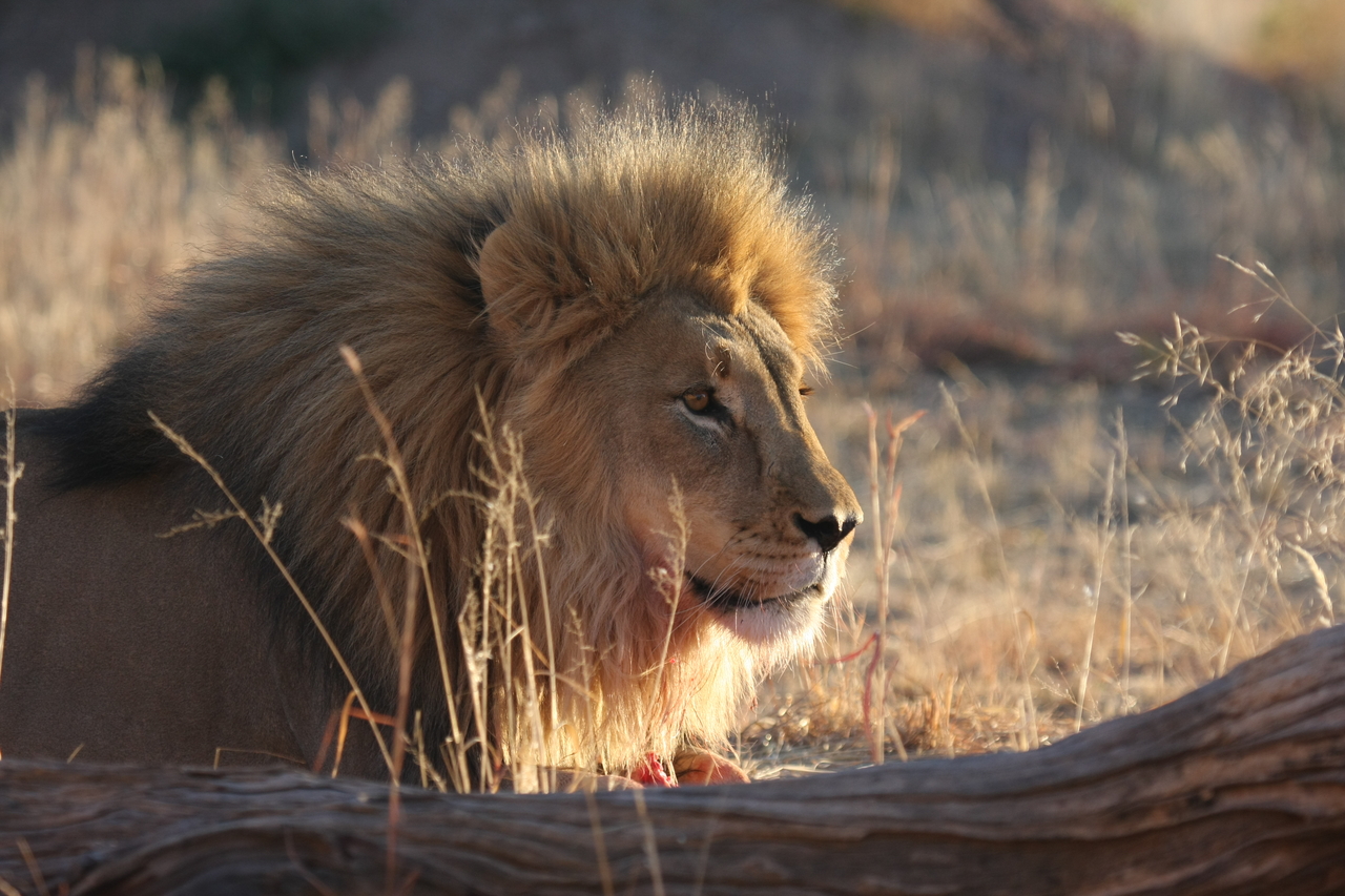 [8142] 2016_06_23_11_51_58_Africa_Canon_EOS_40D_IMG__00824.jpg