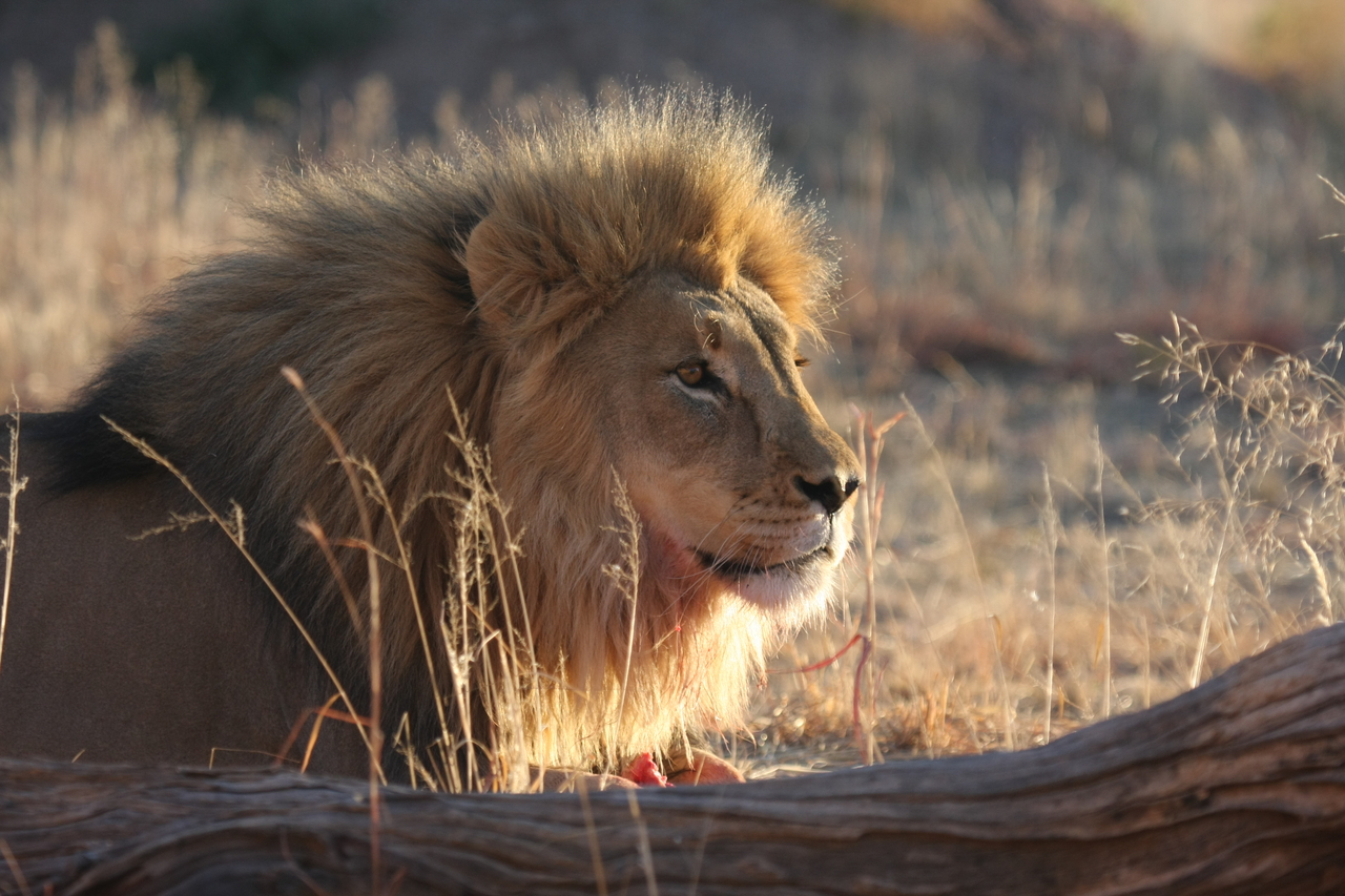 [8147] 2016_06_23_11_51_58_Africa_Canon_EOS_40D_IMG__09104.jpg