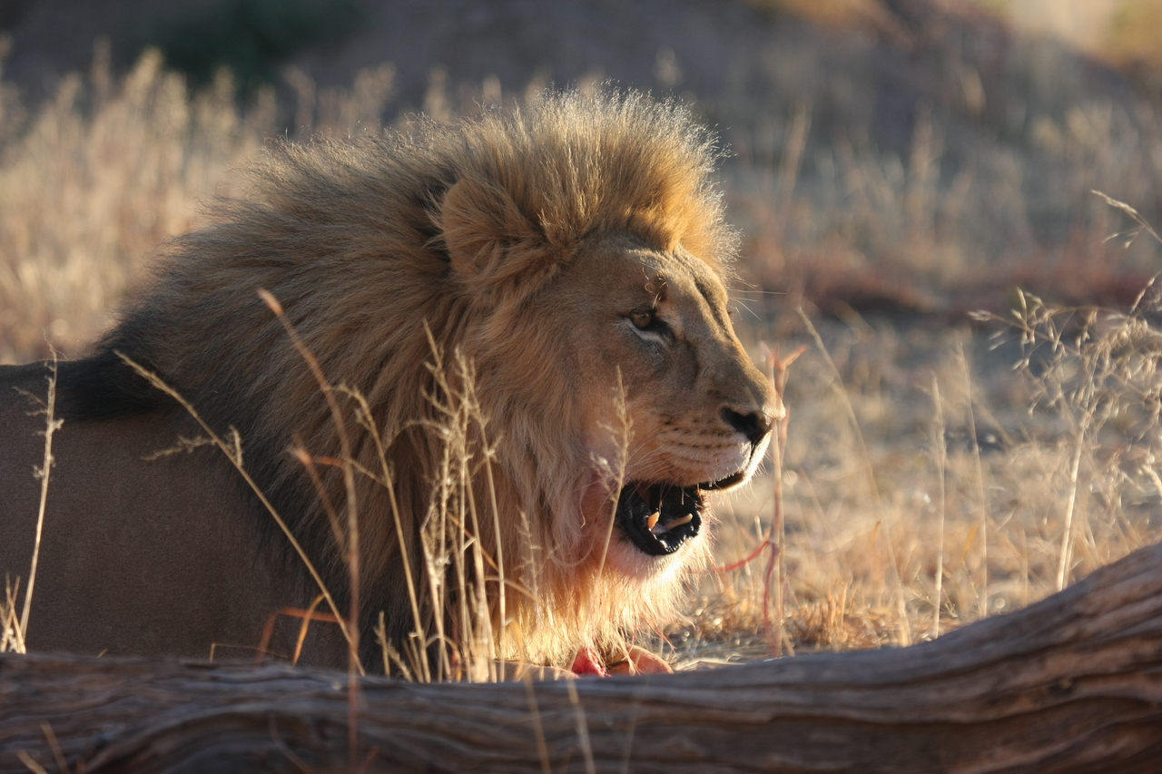 [8151] 2016_06_23_11_51_59_Africa_Canon_EOS_40D_IMG__00827.jpg