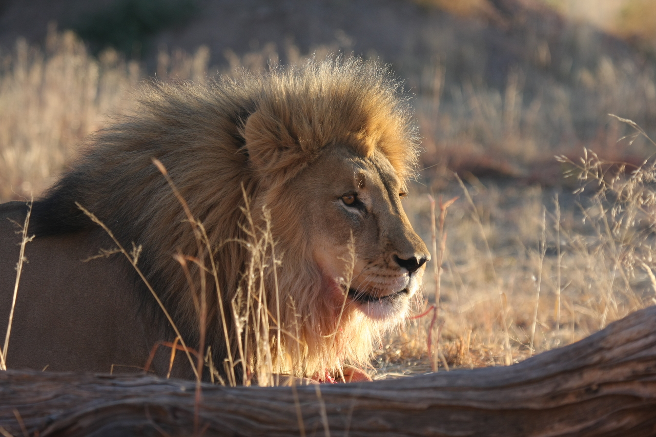 [8152] 2016_06_23_11_51_59_Africa_Canon_EOS_40D_IMG__01659.jpg