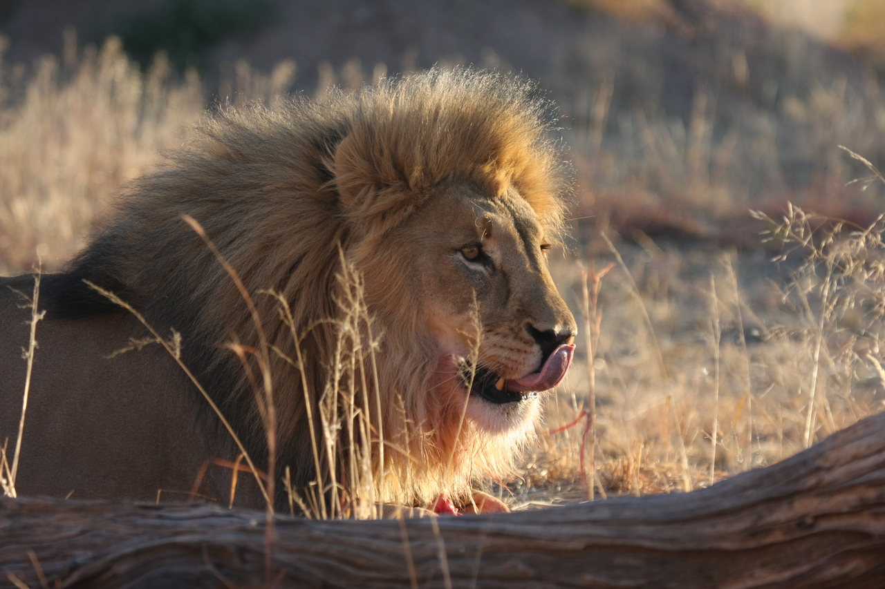 [8153] 2016_06_23_11_51_59_Africa_Canon_EOS_40D_IMG__01660.jpg