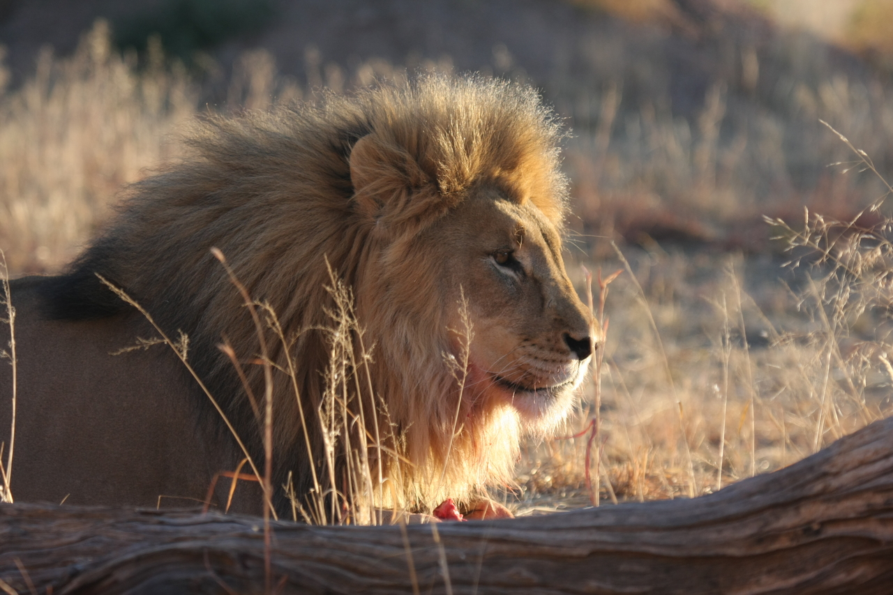 [8163] 2016_06_23_11_52_00_Africa_Canon_EOS_40D_IMG__09110.jpg