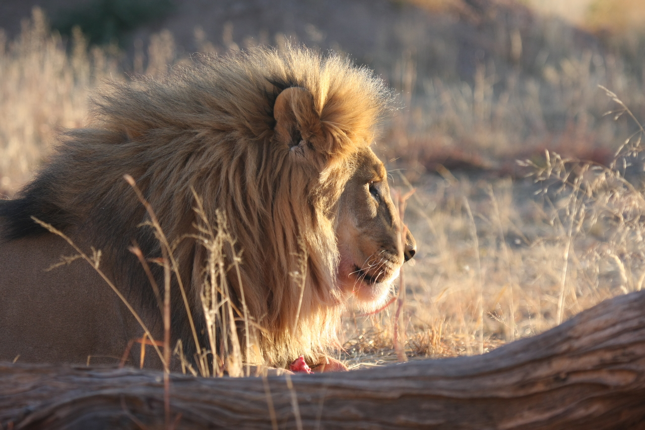 [8165] 2016_06_23_11_52_03_Africa_Canon_EOS_40D_IMG__00832.jpg