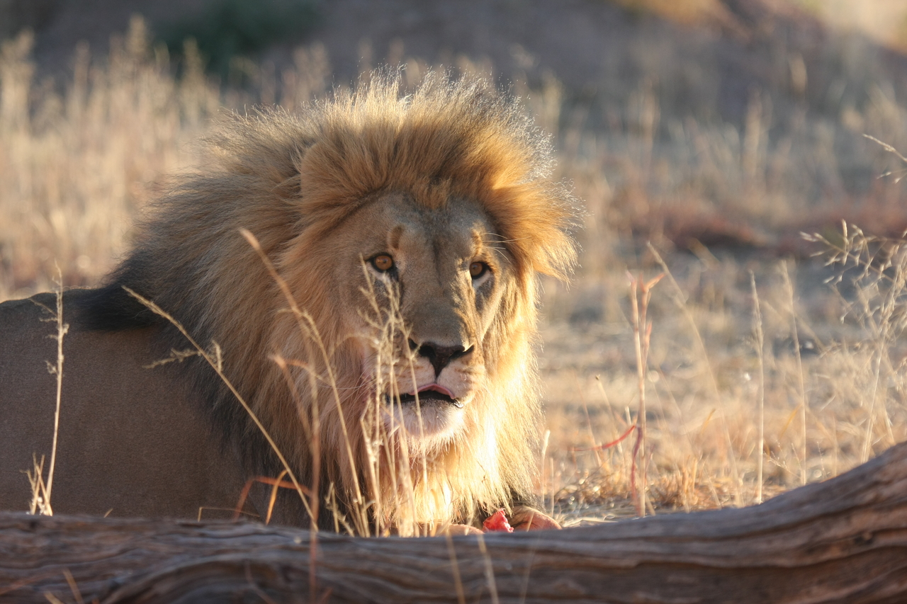 [8179] 2016_06_23_11_52_05_Africa_Canon_EOS_40D_IMG__01669.jpg