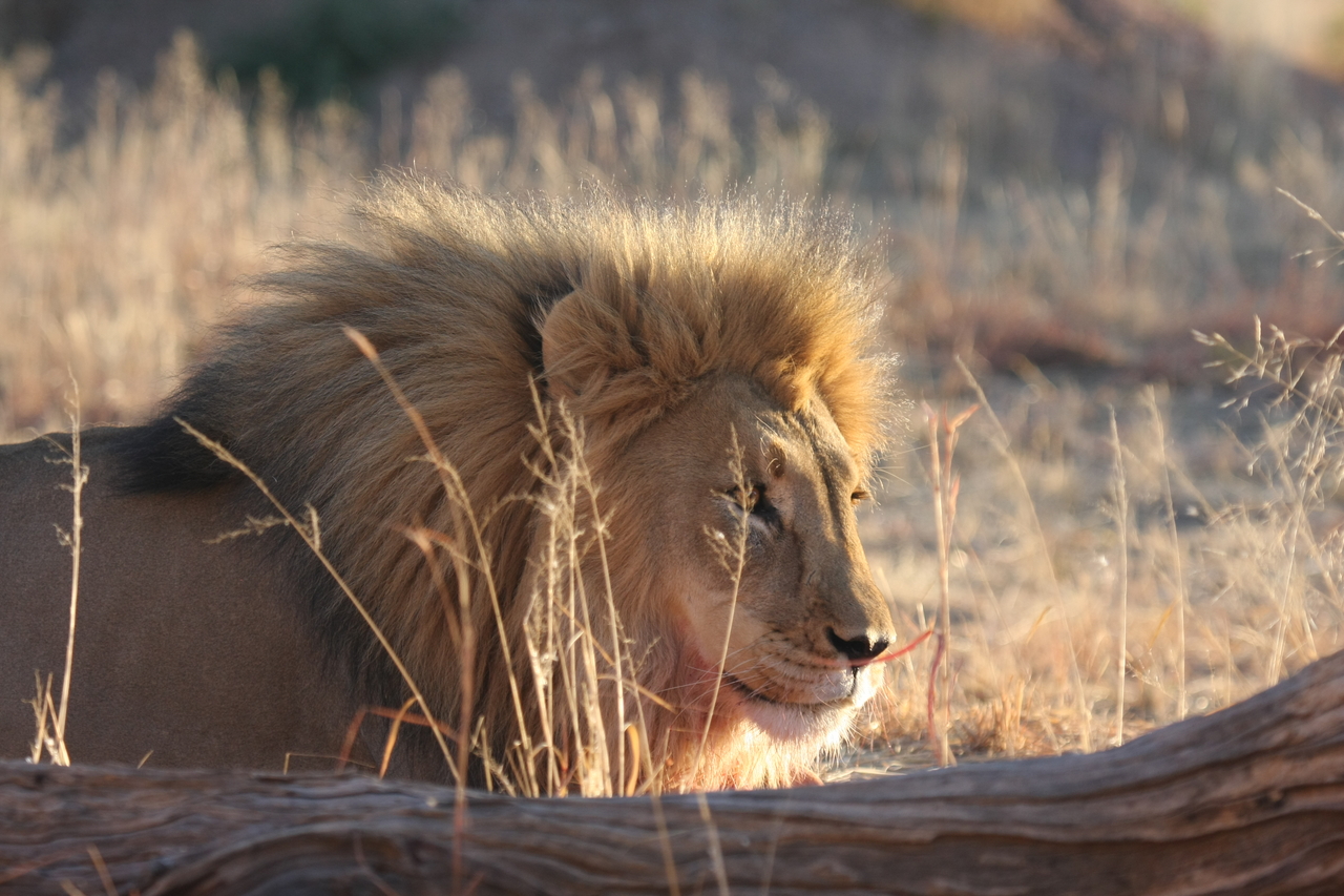 [8185] 2016_06_23_11_52_06_Africa_Canon_EOS_40D_IMG__00838.jpg