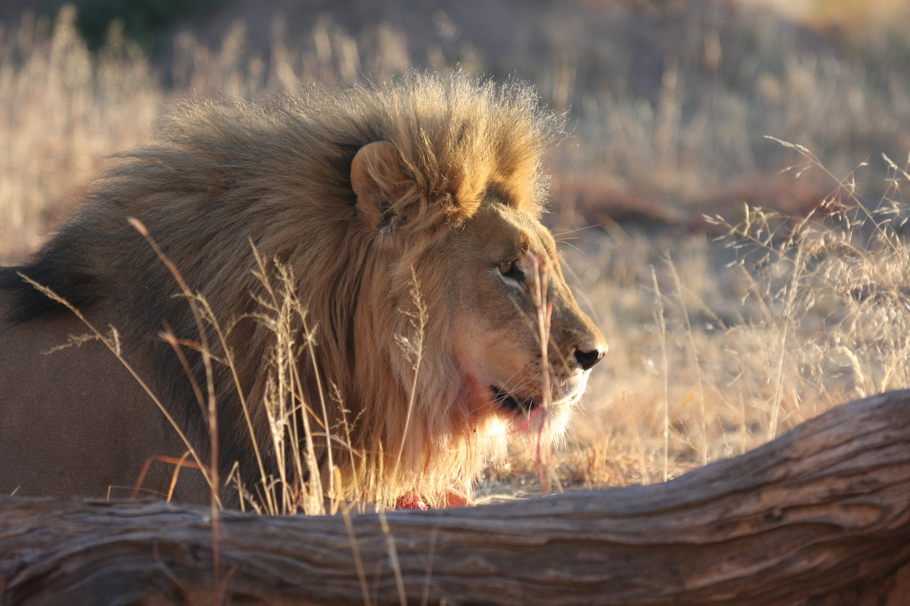 [8189] 2016_06_23_11_52_09_Africa_Canon_EOS_40D_IMG__00840.jpg