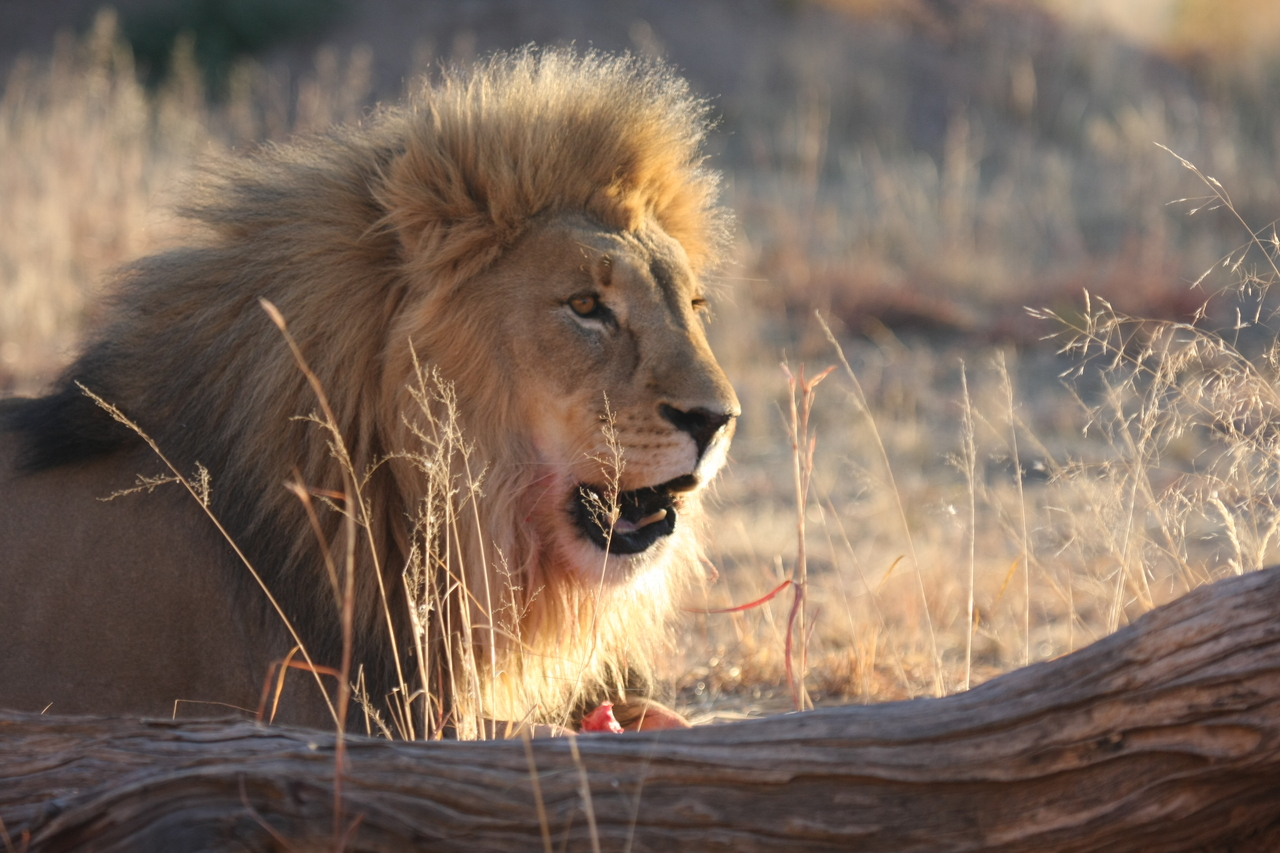 [8199] 2016_06_23_11_52_11_Africa_Canon_EOS_40D_IMG__01677.jpg