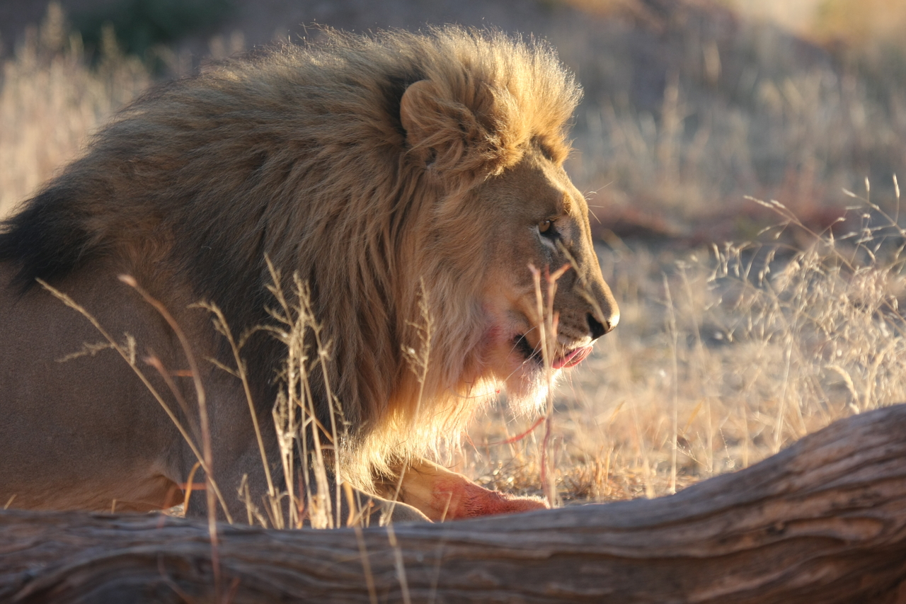 [8212] 2016_06_23_11_52_15_Africa_Canon_EOS_40D_IMG__00848.jpg