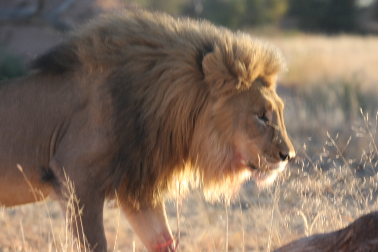 [8214] 2016_06_23_11_52_15_Africa_Canon_EOS_40D_IMG__00850.jpg