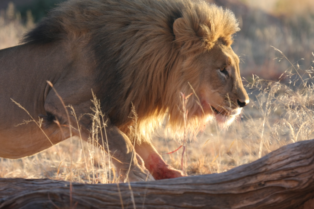 [8216] 2016_06_23_11_52_15_Africa_Canon_EOS_40D_IMG__01683.jpg