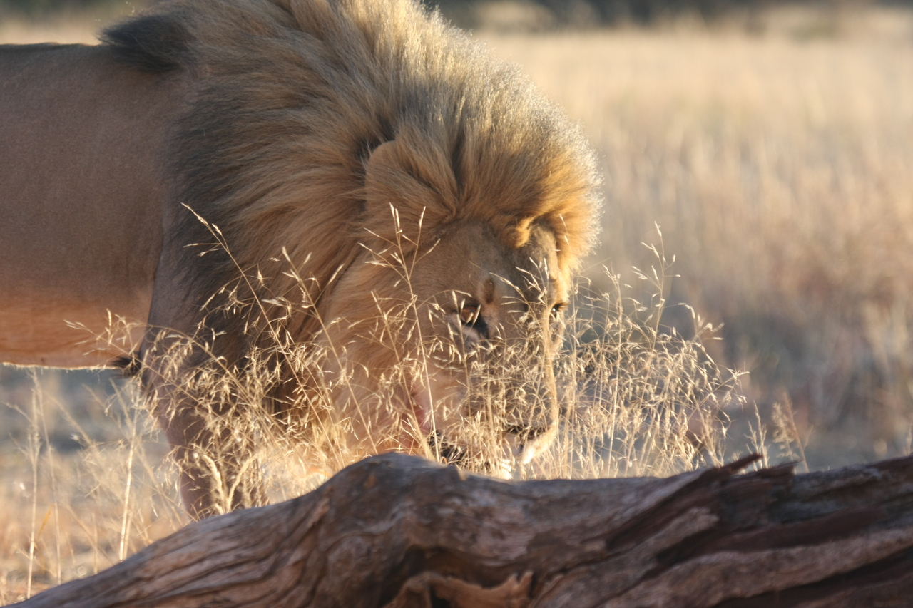 [8222] 2016_06_23_11_52_17_Africa_Canon_EOS_40D_IMG__01685.jpg