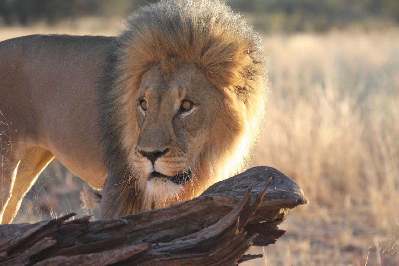 [8224] 2016_06_23_11_52_21_Africa_Canon_EOS_40D_IMG__00852.jpg