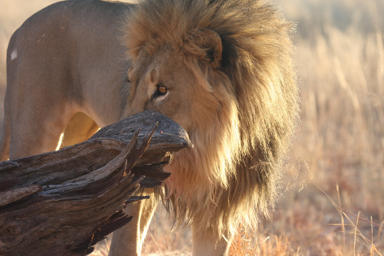 [8238] 2016_06_23_11_52_24_Africa_Canon_EOS_40D_IMG__01692.jpg