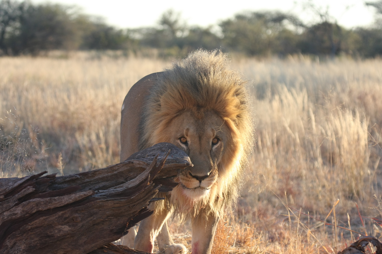 [8249] 2016_06_23_11_52_30_Africa_Canon_EOS_40D_IMG__01695.jpg