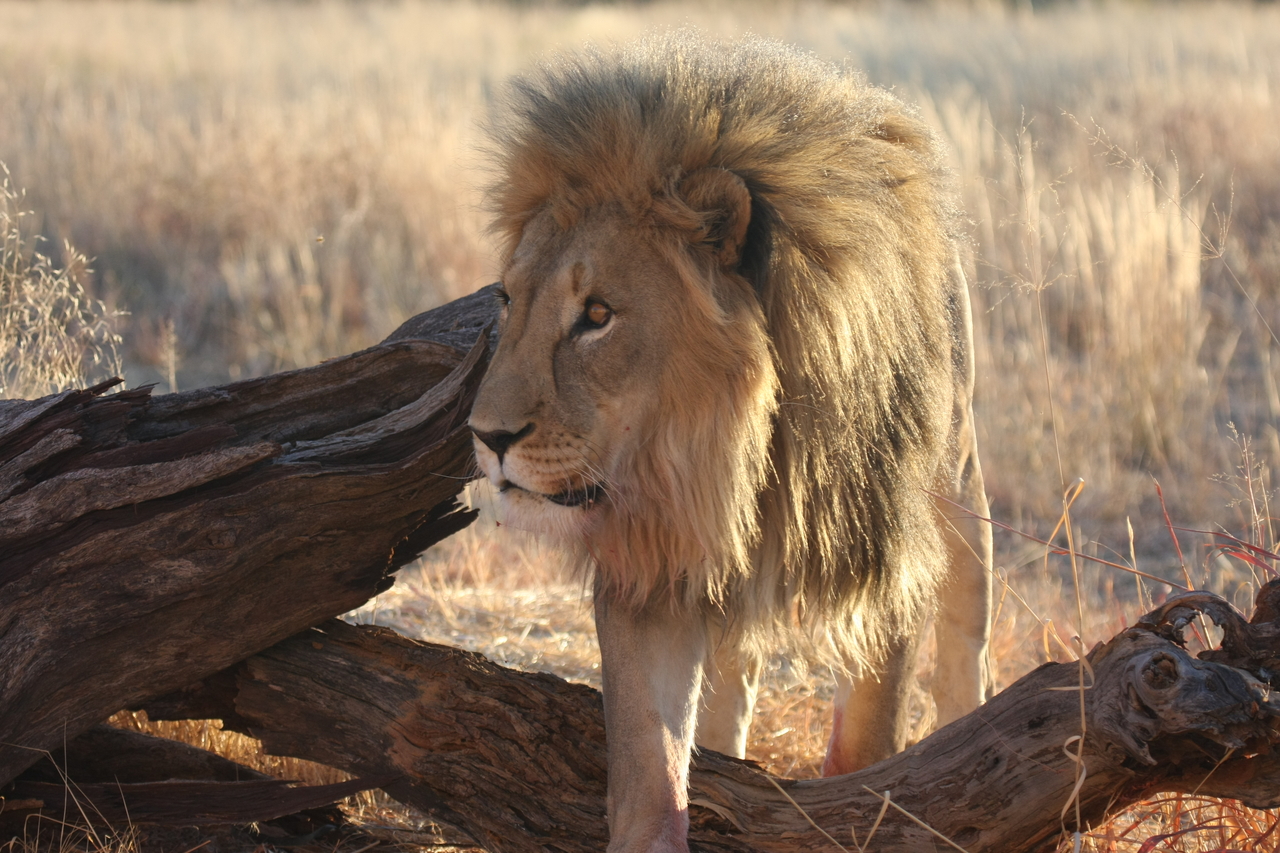 [8263] 2016_06_23_11_52_33_Africa_Canon_EOS_40D_IMG__00868.jpg