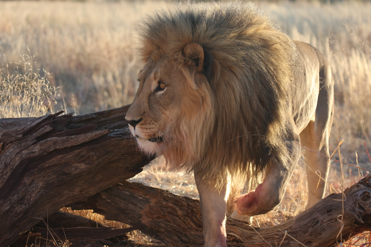 [8270] 2016_06_23_11_52_33_Africa_Canon_EOS_40D_IMG__09150.jpg