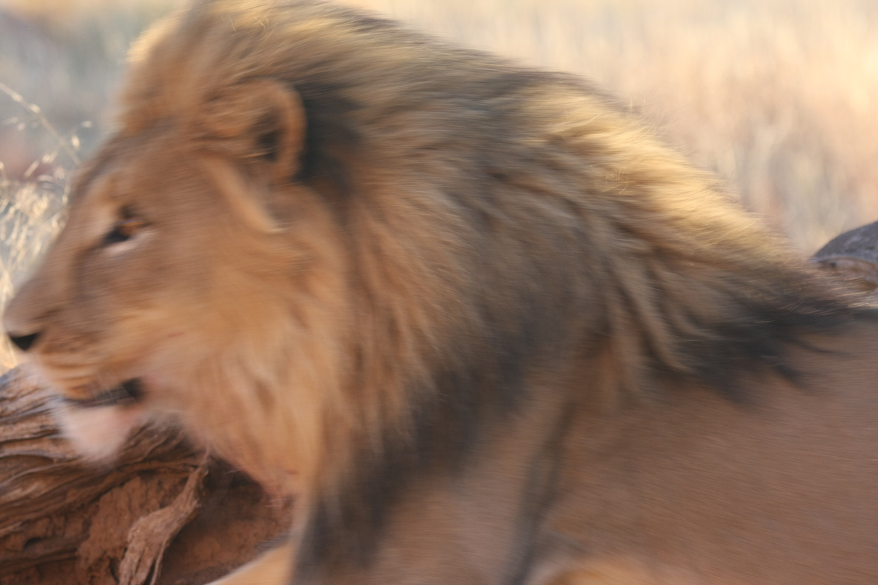 [8285] 2016_06_23_11_53_24_Africa_Canon_EOS_40D_IMG__00874.jpg