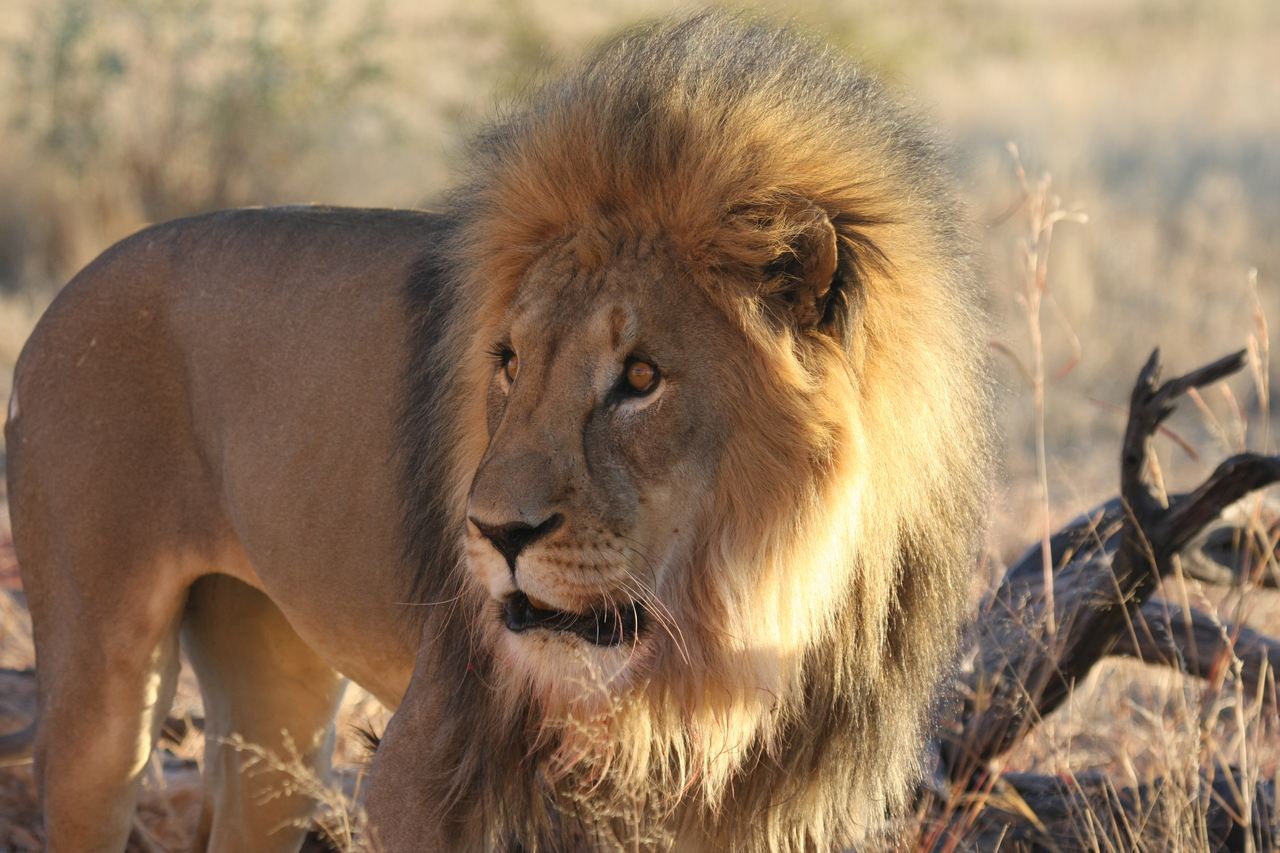 [8296] 2016_06_23_11_53_33_Africa_Canon_EOS_40D_IMG__01711.jpg