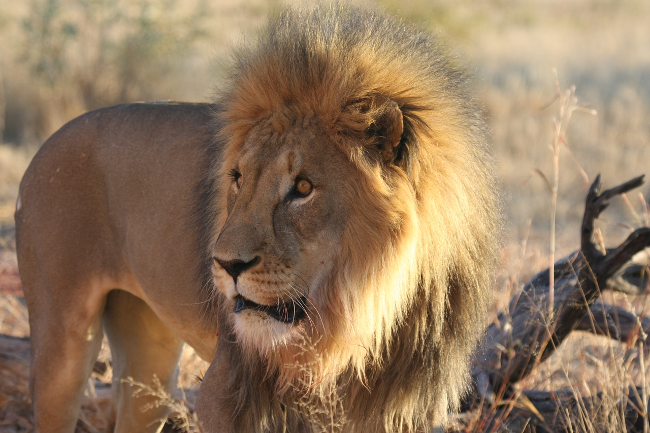 [8298] 2016_06_23_11_53_33_Africa_Canon_EOS_40D_IMG__01713.jpg