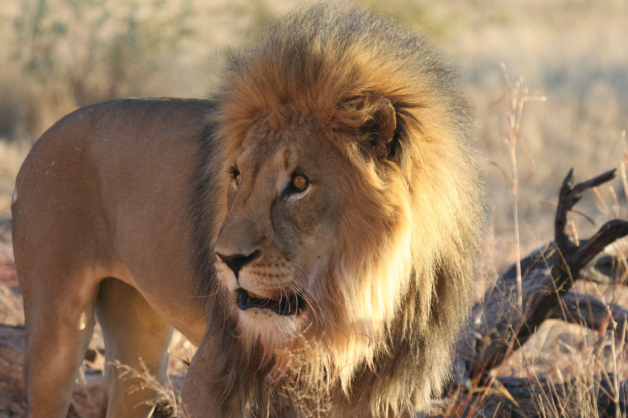 [8300] 2016_06_23_11_53_33_Africa_Canon_EOS_40D_IMG__09159.jpg