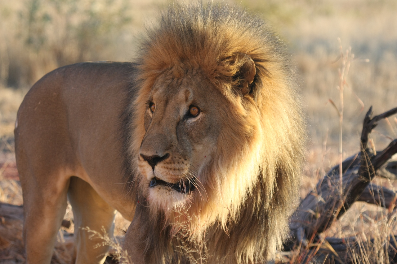 [8304] 2016_06_23_11_53_34_Africa_Canon_EOS_40D_IMG__01714.jpg