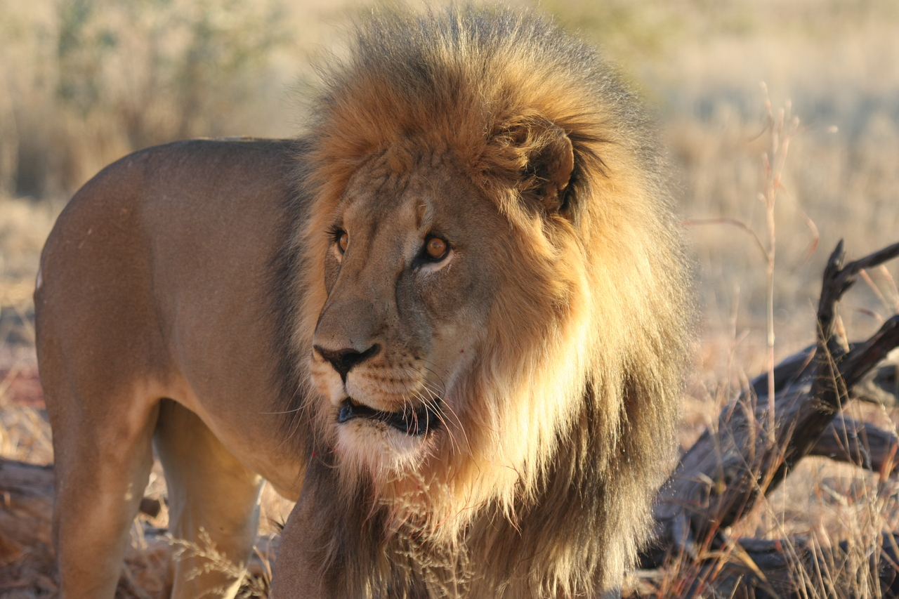 [8305] 2016_06_23_11_53_34_Africa_Canon_EOS_40D_IMG__01715.jpg