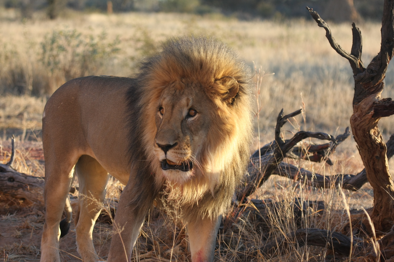 [8317] 2016_06_23_11_53_40_Africa_Canon_EOS_40D_IMG__00885.jpg