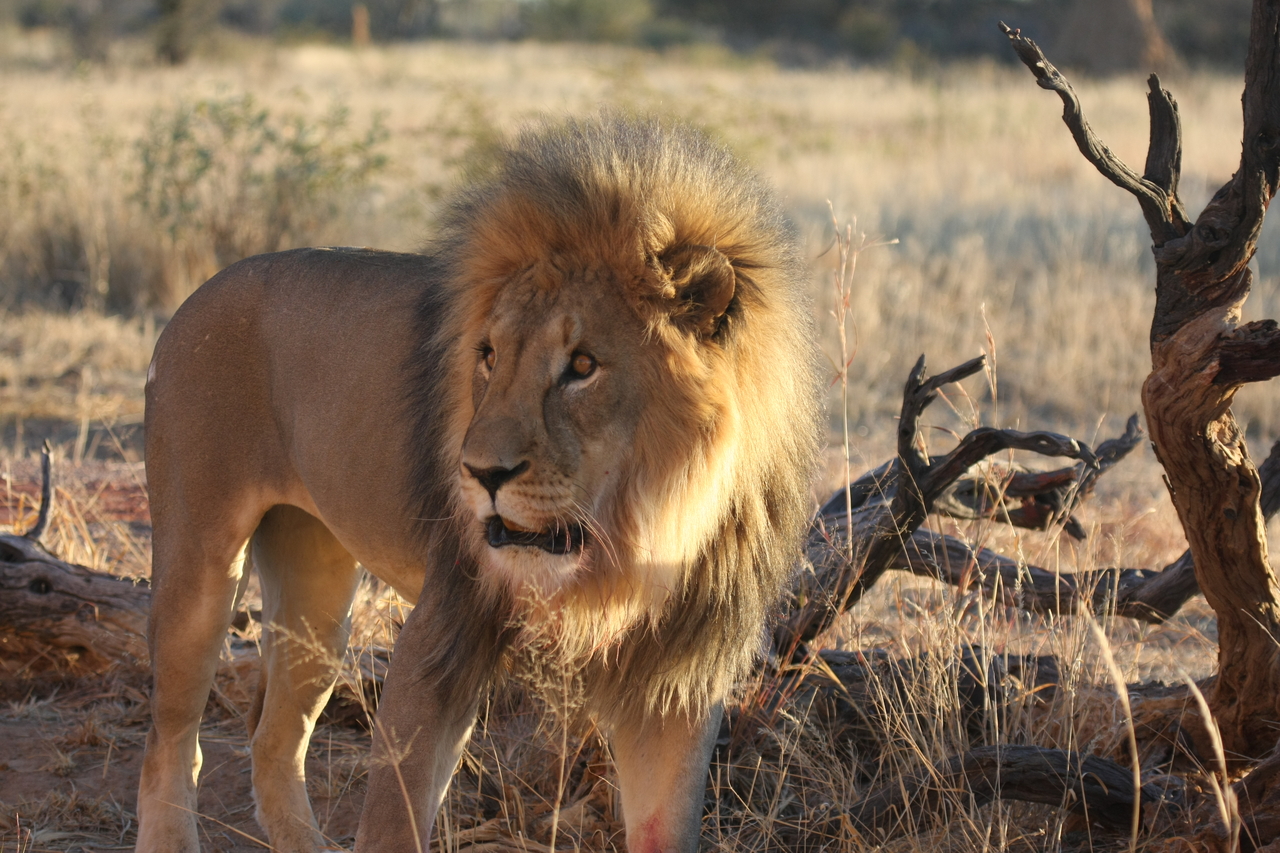 [8322] 2016_06_23_11_53_40_Africa_Canon_EOS_40D_IMG__09167.jpg