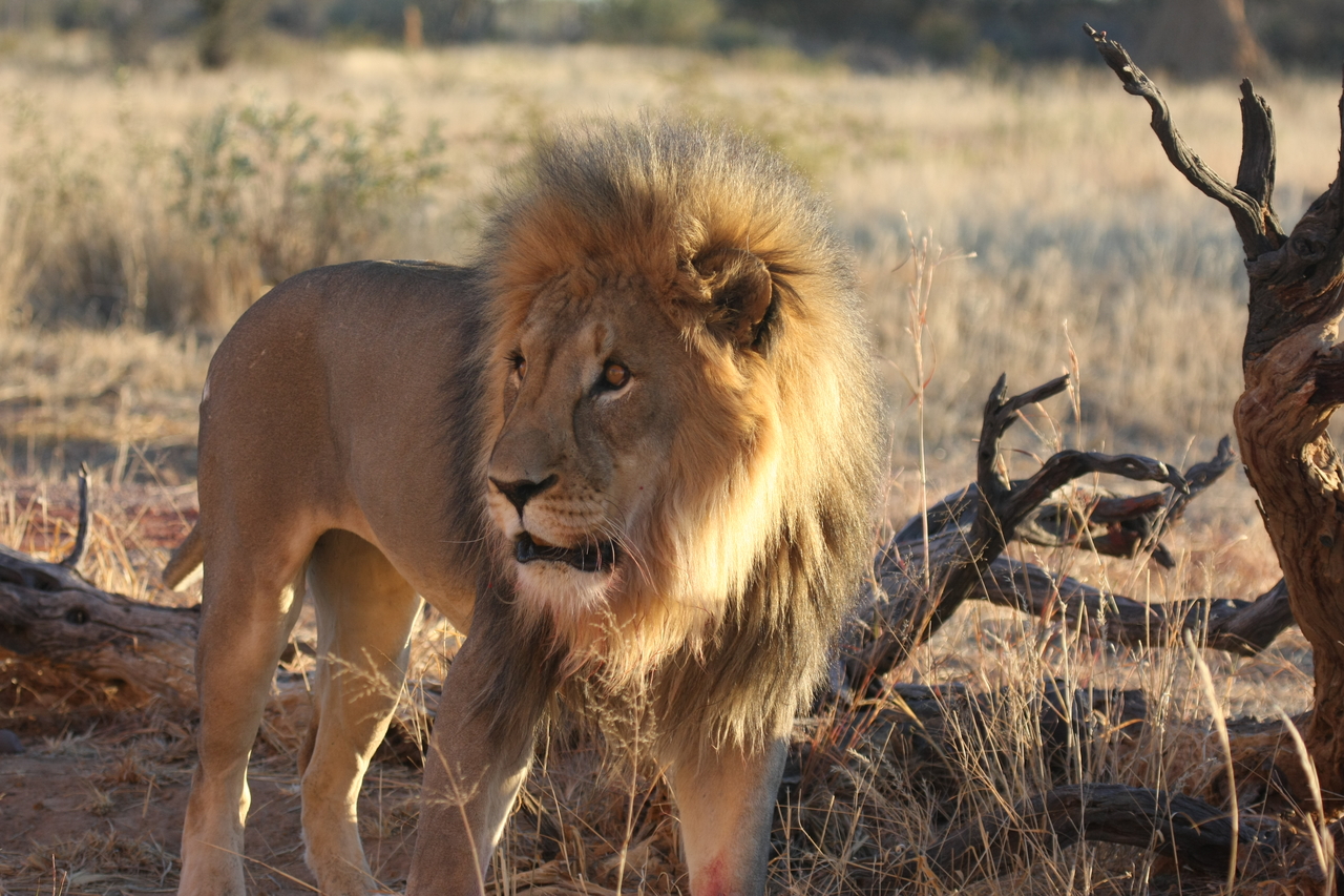 [8328] 2016_06_23_11_53_41_Africa_Canon_EOS_40D_IMG__09170.jpg