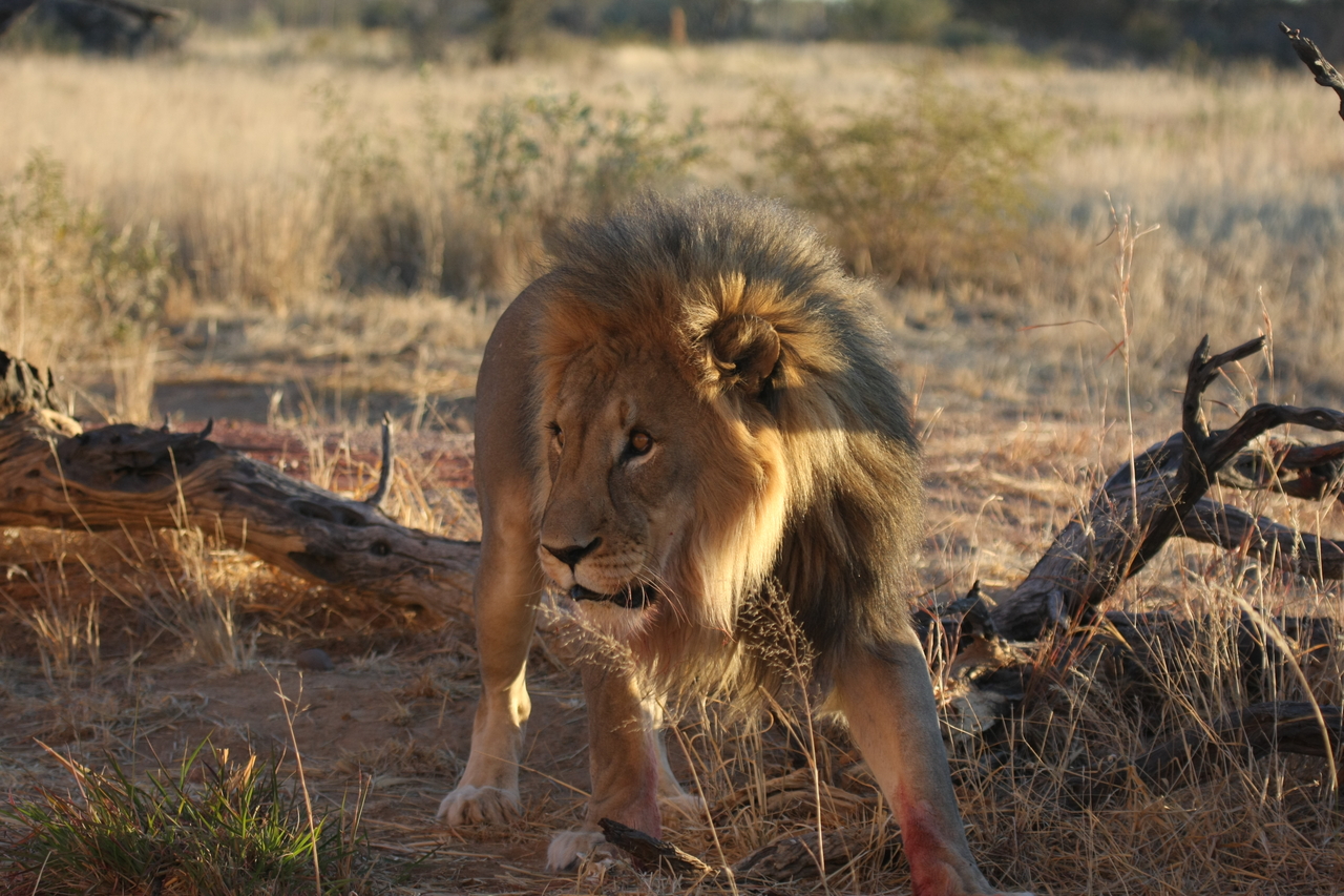 [8335] 2016_06_23_11_53_45_Africa_Canon_EOS_40D_IMG__09171.jpg