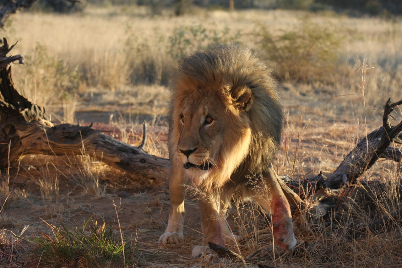 [8336] 2016_06_23_11_53_45_Africa_Canon_EOS_40D_IMG__09172.jpg