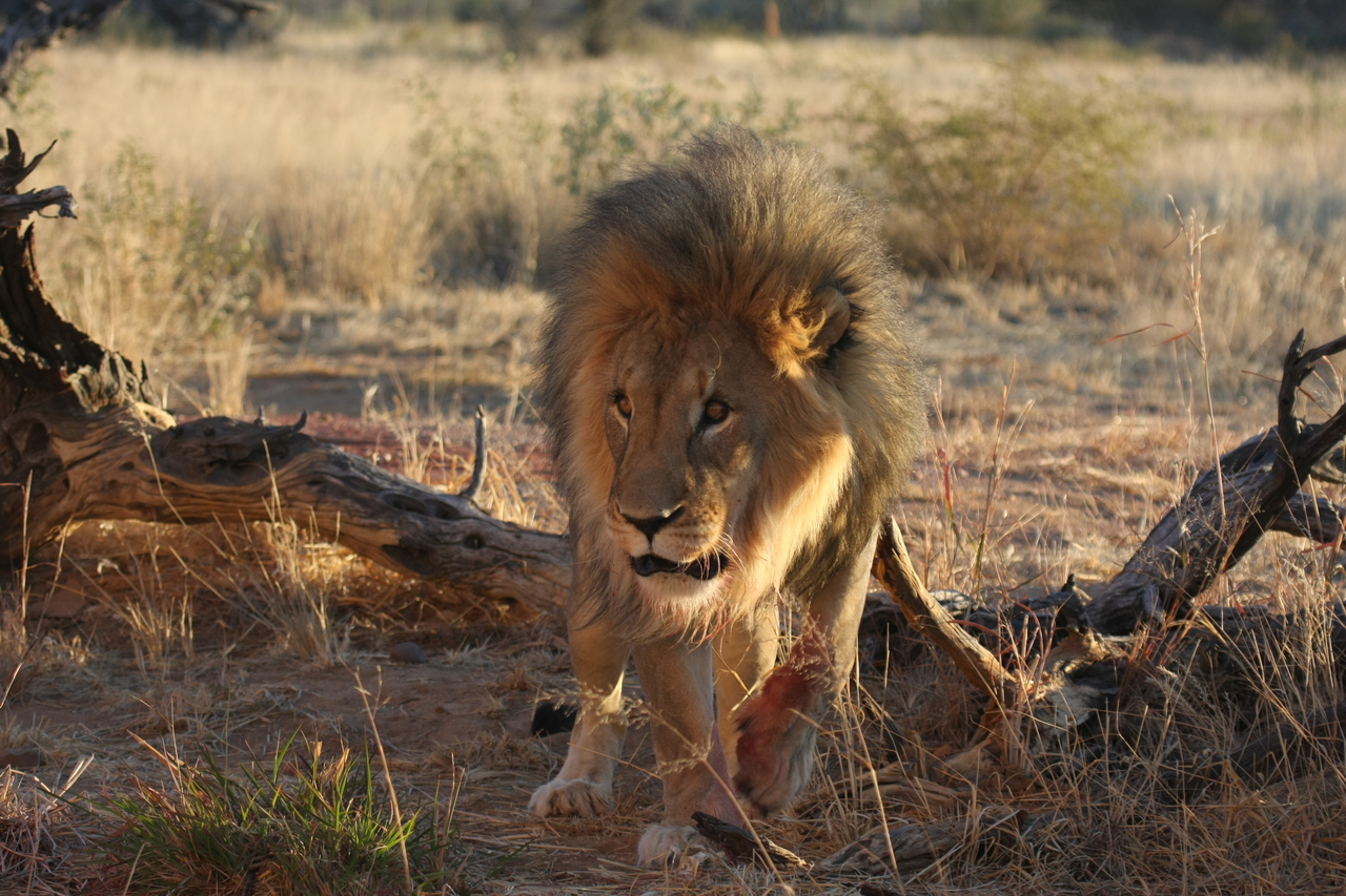 [8337] 2016_06_23_11_53_45_Africa_Canon_EOS_40D_IMG__09173.jpg