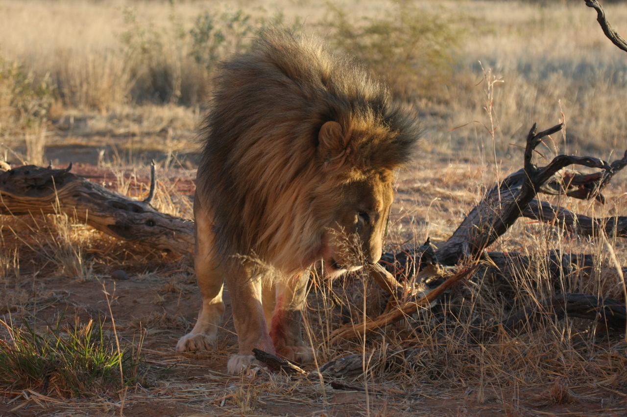 [8343] 2016_06_23_11_53_46_Africa_Canon_EOS_40D_IMG__01729.jpg