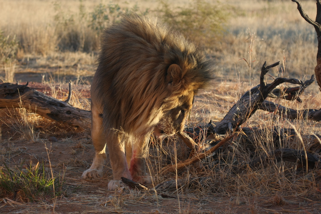 [8349] 2016_06_23_11_53_47_Africa_Canon_EOS_40D_IMG__09177.jpg