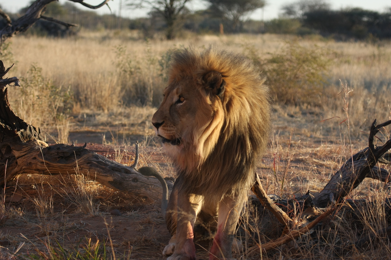 [8353] 2016_06_23_11_53_53_Africa_Canon_EOS_40D_IMG__01731.jpg