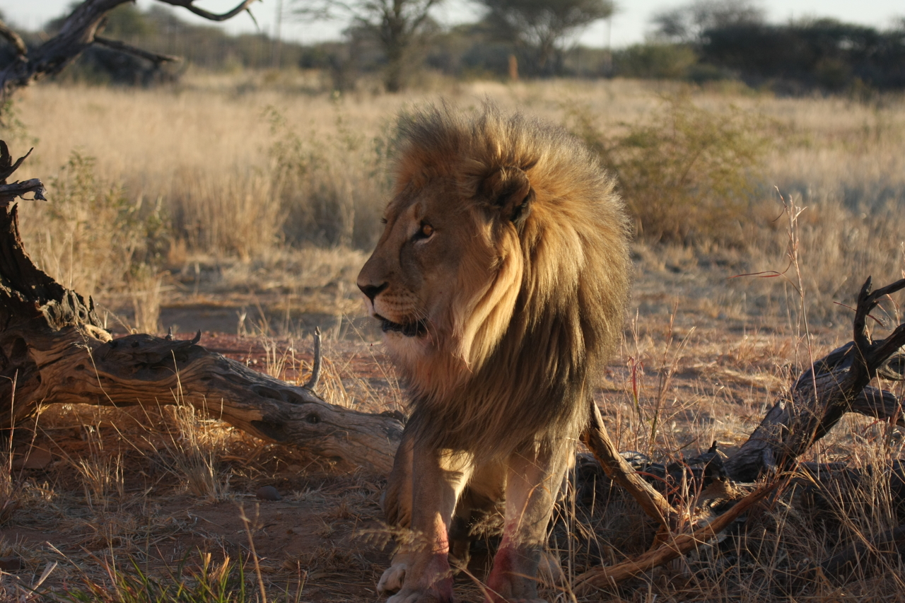 [8354] 2016_06_23_11_53_53_Africa_Canon_EOS_40D_IMG__01733.jpg