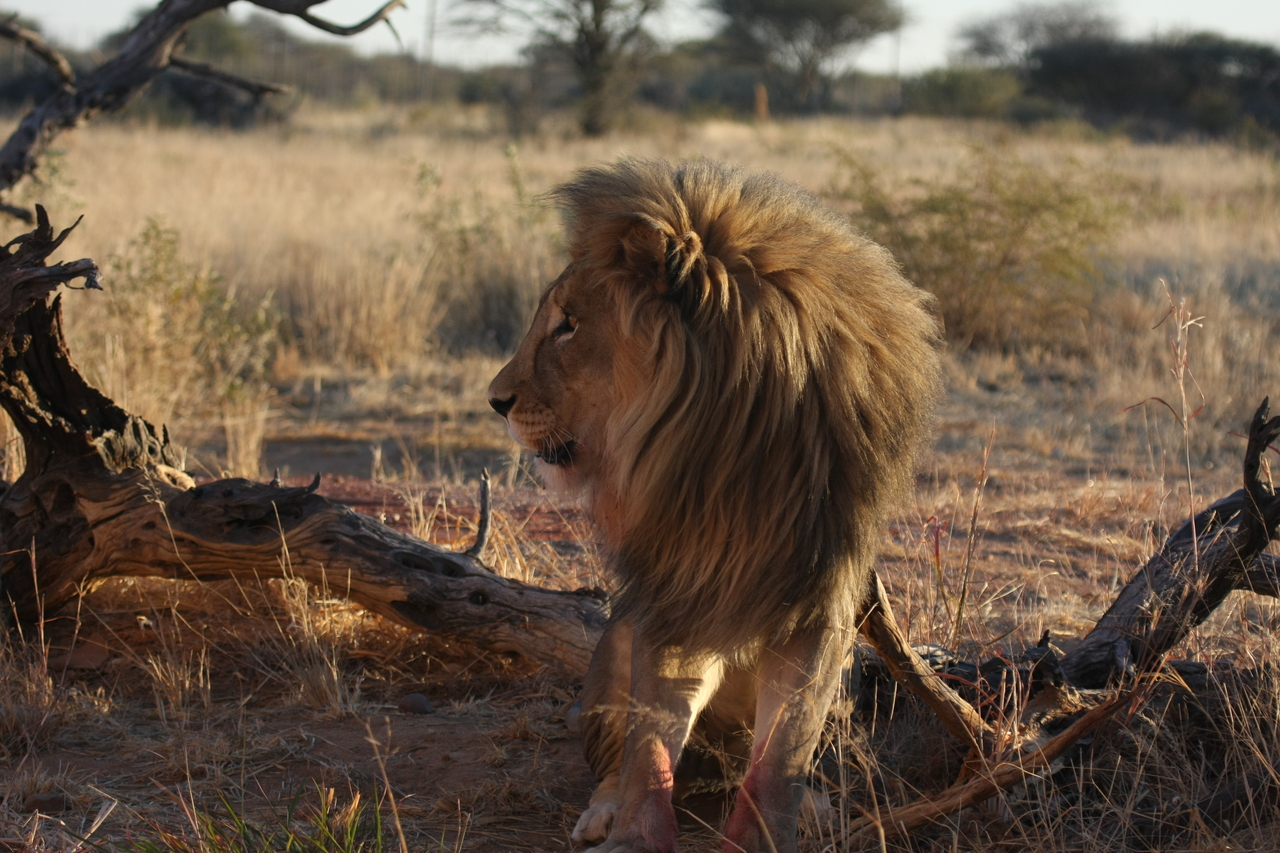 [8364] 2016_06_23_11_53_57_Africa_Canon_EOS_40D_IMG__01737.jpg