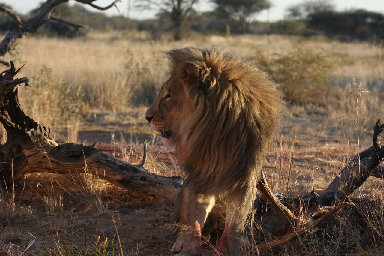 [8365] 2016_06_23_11_53_57_Africa_Canon_EOS_40D_IMG__09182.jpg