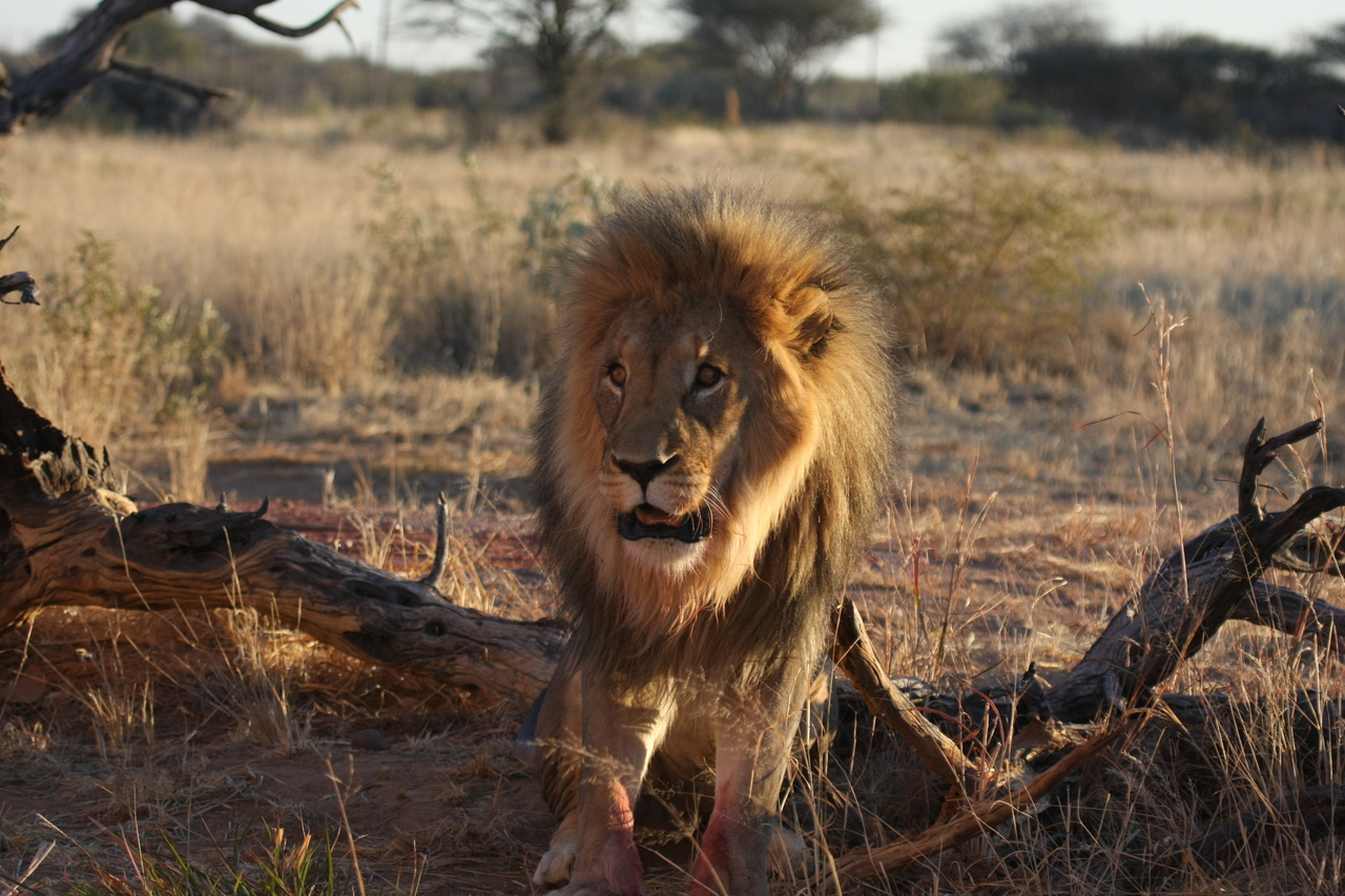 [8383] 2016_06_23_11_54_03_Africa_Canon_EOS_40D_IMG__09188.jpg