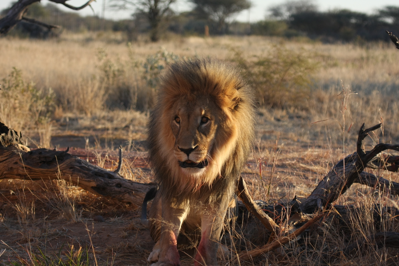 [8384] 2016_06_23_11_54_04_Africa_Canon_EOS_40D_IMG__00908.jpg